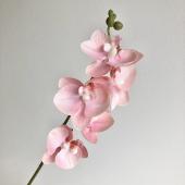 即日★【造花】アスカ/ミディコチョウラン×5 つぼみ×4 サーモンピンク/A-35168-14P