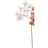 造花】アスカ/コチョウラン×7 ホワイトピンク/A-35169-1P - 花材通販は