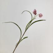 【造花】アスカ/フリチラリア×2 パープルクリーム/A-34901-7C