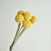 即日★【造花】アスカ/クラスペディアバンチ（1束6本） イエロー/A-35187-10