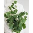 即日★【造花】アスカ/グレープアイビーハンギングブッシュ グリーン/A-44627-51A
