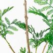 【直送】 【人工観葉植物】アスカ/エバーフレッシュ(ポット付) グリーン/A-51134-51A ※返品・代引・キャンセル不可