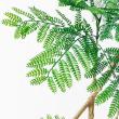 【直送】 【人工観葉植物】アスカ/エバーフレッシュ(ポット付) グリーン/A-51135-51A ※返品・代引・キャンセル不可