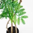 【直送】 【人工観葉植物】アスカ/エバーフレッシュ(ポット付) グリーン/A-51135-51A ※返品・代引・キャンセル不可