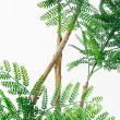 【直送】 【人工観葉植物】アスカ/エバーフレッシュ(ポット付) グリーン/A-51135-51A ※返品・代引・キャンセル不可