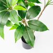 【直送】【人工観葉植物】アスカ/ツピタンサス(ポット付) グリーン/A-51129-51A ※返品・代引・キャンセル不可