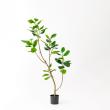 【直送】【人工観葉植物】アスカ/ゴムの木(ポット付) グリーン/A-51123-51A ※代引返品キャンセル不可
