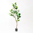 【直送】【人工観葉植物】アスカ/ゴムの木(ポット付) グリーン/A-51124-51A ※返品・代引・キャンセル不可