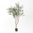 【直送】【人工観葉植物】アスカ/オリーブ(ポット付) ナチュラル/A-51125-44※キャンセル・返品不可 ※返品・代引・キャンセル不可