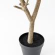 【直送】 【人工観葉植物】アスカ/オリーブ(ポット付) ナチュラル/A-51126-44 ※返品・代引・キャンセル不可