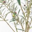【直送】 【人工観葉植物】アスカ/オリーブ(ポット付) ナチュラル/A-51126-44 ※返品・代引・キャンセル不可