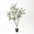 【直送】 【人工観葉植物】アスカ/オリーブ(ポット付) ナチュラル/A-51126-44 ※返品・代引・キャンセル不可