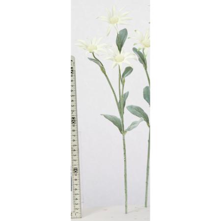 【造花】アスカ/フランネルフラワー×3 クリームホワイト/A-35333-11