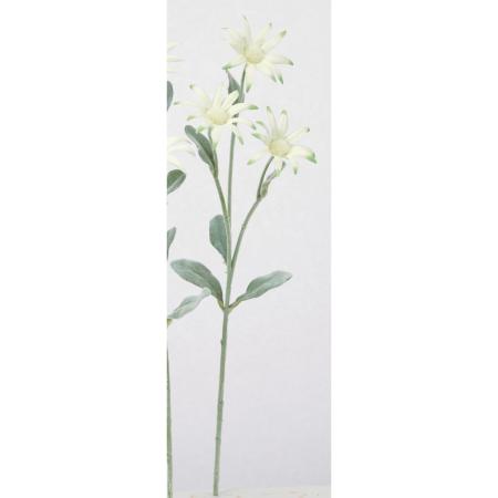 【造花】アスカ/フランネルフラワー×3 クリームグリーン/A-35333-53A
