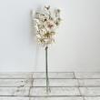 【造花】アスカ/スイトピーバンチ(1束3本) ホワイトベージュ/A-35269-1D