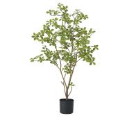 直送】【人工観葉植物】アスカ/マダガスカルアーモンドツリー(ポット付