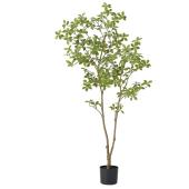 直送】【人工観葉植物】アスカ/マダガスカルアーモンドツリー(ポット付