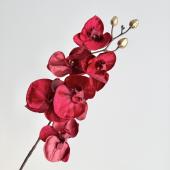 即日★【造花】アスカ/ベルベットコチョウラン×6 つぼみ×5 レッド/A-73475-2