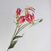 即日★【造花】アスカ/グロリオサ×4 つぼみ×1 レッド/A-35329-2