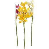 【造花】アスカ/シンビジューム×5 イエロー/A-73460-10