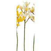 【造花】アスカ/シンビジューム×5 クリームホワイト/A-73460-11