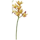 【造花】アスカ/シンビジューム×5 グリーンライトブラウン/A-73460-51B