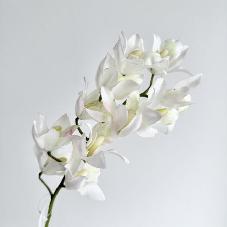 特価◎【造花】アスカ/premium collection シンビジューム×11 #001 ホワイト/AP03026-1