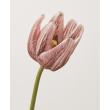 特価◎【造花】アスカ/premium collection チューリップ #028 ブラウン/AP03027-28