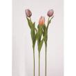 特価◎【造花】アスカ/premium collection チューリップ #028 ブラウン/AP03027-28