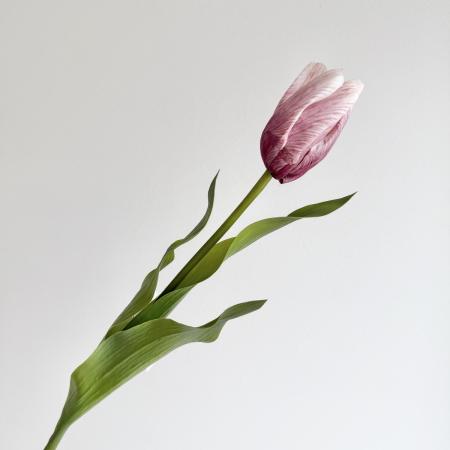 【造花】アスカ/premium collection チューリップ #055N モーブブラウン/AP03027-55N