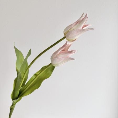 特価◎【造花】アスカ/premium collection チューリップ×2 #013 ライトピンク/AP03028-13