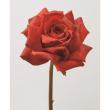特価◎【造花】アスカ/premium collection ローズ #030R オレンジレッド/AP03030-30R