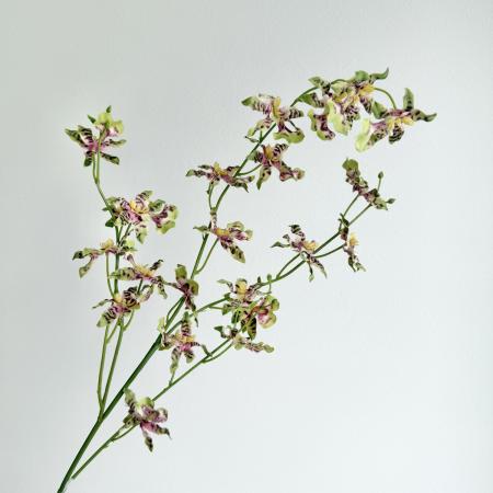 特価◎【造花】アスカ/premium collection オンシジューム×22 つぼみ×7 #051P/AP03032-51P