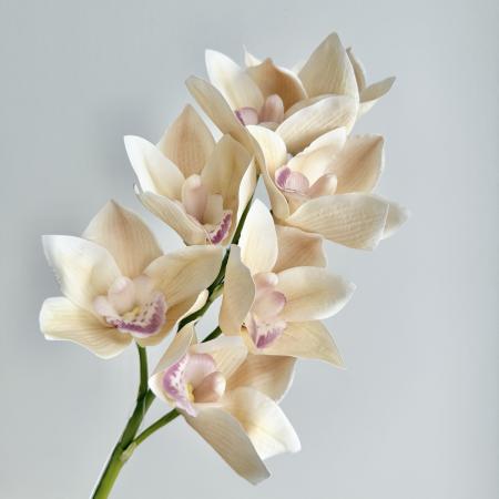 特価◎【造花】アスカ/premium collection シンビジューム×7 #008A ソフトベージュ/AP03035-8A