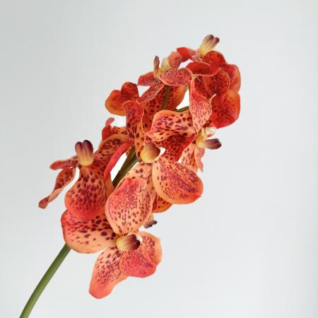 特価◎【造花】アスカ/premium collection バンダオーキッド×17 #030 オレンジ/AP03036-30