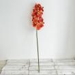 特価◎【造花】アスカ/premium collection バンダオーキッド×17 #030 オレンジ/AP03036-30