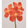 特価◎【造花】アスカ/premium collection バンダオーキッド×17 #030 オレンジ/AP03036-30