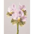 特価◎【造花】アスカ/premium collection バンダオーキッド×17 #052L グリーンラベンダー/AP03036-52L