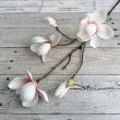 特価◎【造花】アスカ/premium collection マグノリア×3 #003C クリームピンク/AP03039-3C