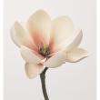 特価◎【造花】アスカ/premium collection マグノリア×3 #007C パープルクリーム/AP03039-7C