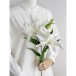 【造花】アスカ/premium collection カサブランカ×2 #001 ホワイト/AP03040-1