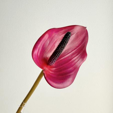 特価◎【造花】アスカ/premium collection アンスリウム #026 フッシャ/AP03041-26