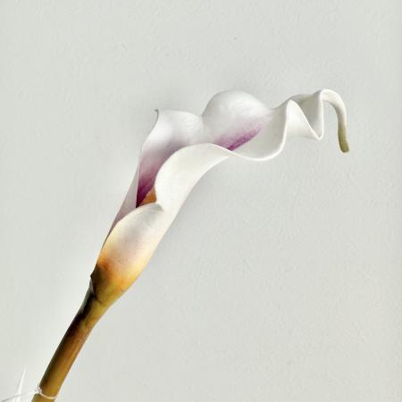 特価◎【造花】アスカ/premium collection カラーリリィ #017P ホワイトパープル/AP03042-17P