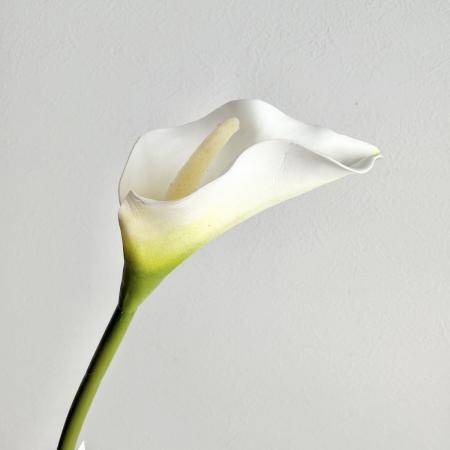 特価◎【造花】アスカ/premium collection カラーリリィ #001 ホワイト/AP03043-1