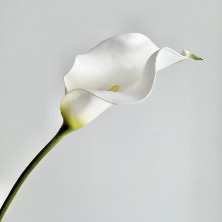 特価◎【造花】アスカ/premium collection カラーリリィ #001 ホワイト/AP03044-1