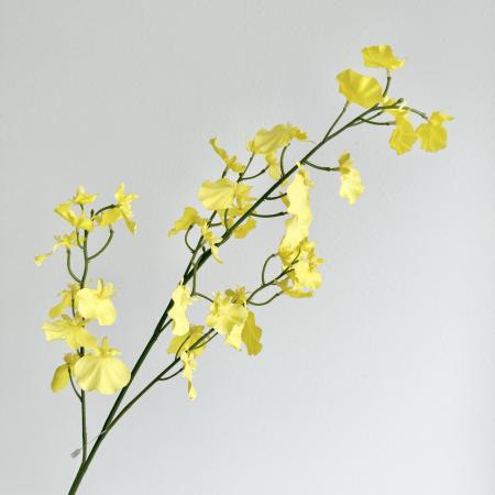 【造花】アスカ/premium collection オンシジューム×39 #010L イエローレモン/AP03048-10L