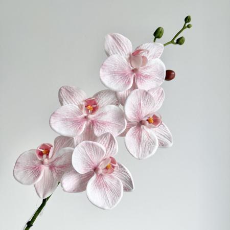 特価◎【造花】アスカ/premium collection コチョウラン×5 #003W ピンクホワイト/AP03052-3W