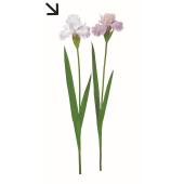 特価◎【造花】アスカ/アイリス #006W ホワイトラベンダー(ナチュラル加工)/A-35406-6W