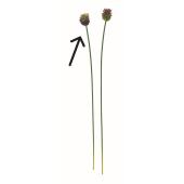 特価◎【造花】アスカ/丹頂アリウム #007G パープルグリーン/A-35388-7G