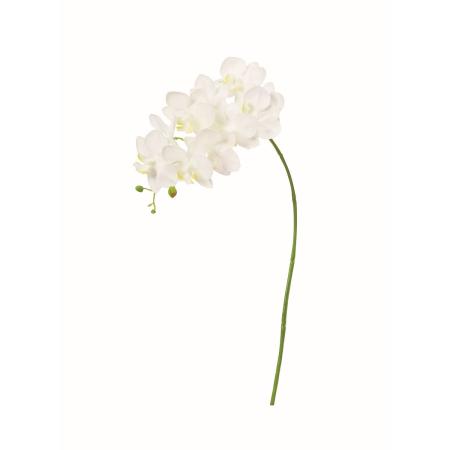 特価◎【造花】アスカ/コチョウラン×10 つぼみ×4 #001 ホワイト/A-35409-1